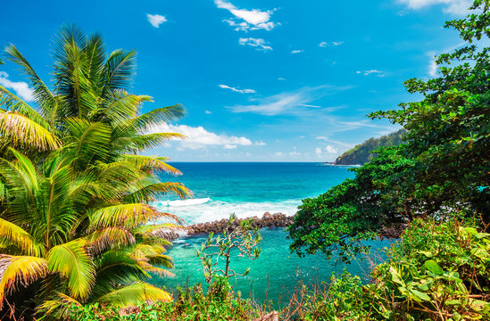 Réunion